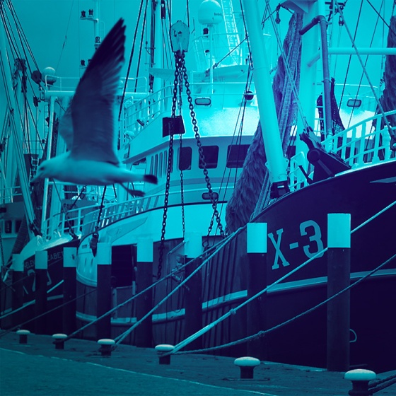 sound pack Harbours